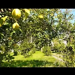 Bed & Breakfast Casa Maria Vittoria Torre del Greco