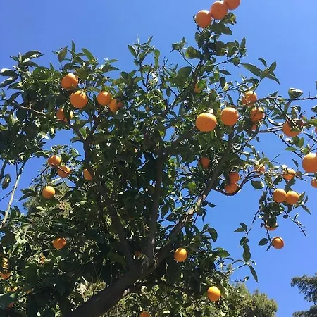 Casa Maria Vittoria 住宿加早餐酒店