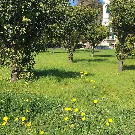 Oda ve Kahvaltı Casa Maria Vittoria Torre del Greco