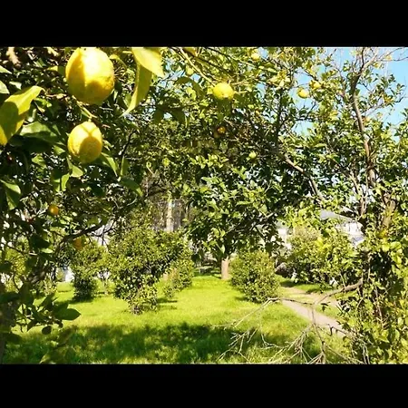 לינה וארוחת בוקר Casa Maria Vittoria טורה דל גרקו