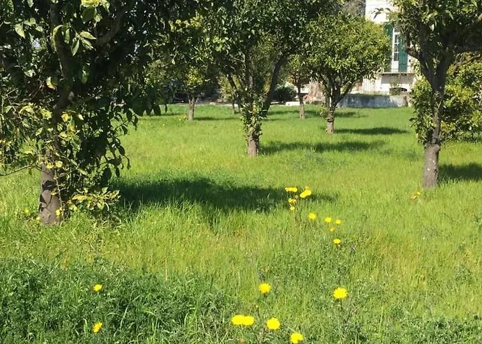 Alojamento de Acomodação e Pequeno-almoço Casa Maria Vittoria Torre del Greco