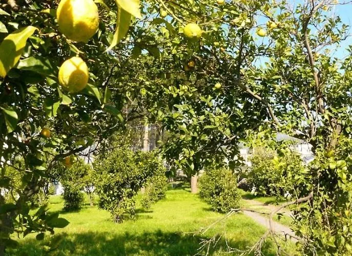 Alojamento de Acomodação e Pequeno-almoço Casa Maria Vittoria Torre del Greco