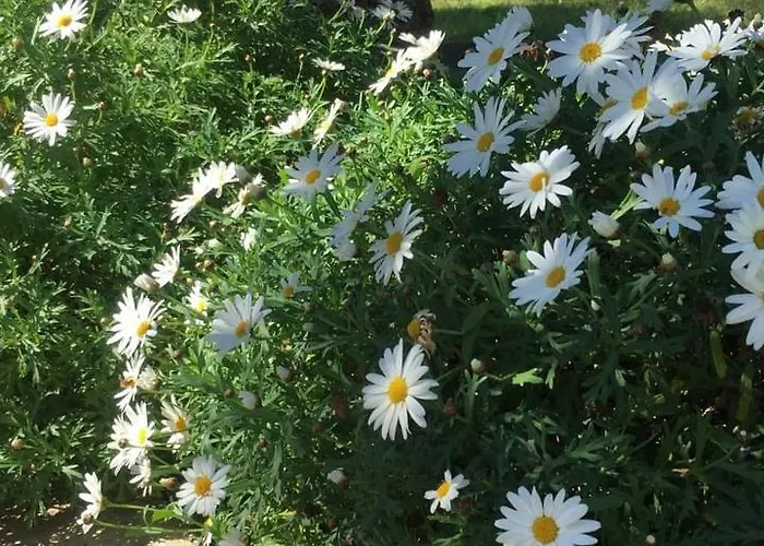 Casa Maria Vittoria Alojamento de Acomodação e Pequeno-almoço Torre del Greco
