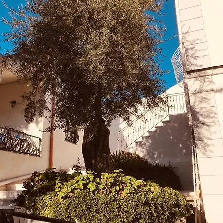Casa Maria Vittoria לינה וארוחת בוקר